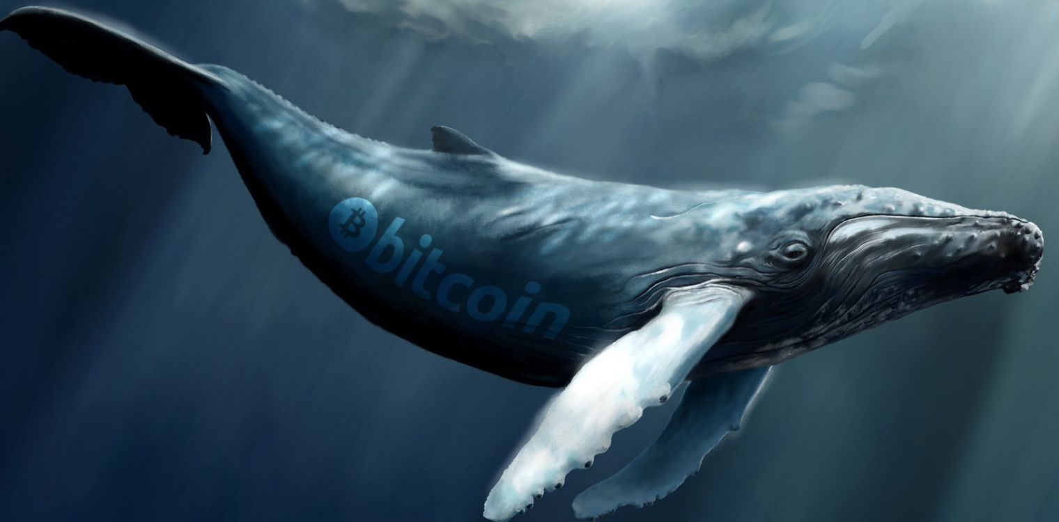 While Markets Move Sideways, Crypto Whale Sightings Increase